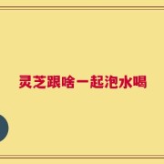 灵芝跟啥一起泡水喝