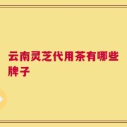 云南灵芝代用茶有哪些牌子