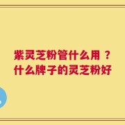 紫灵芝粉管什么用 ？什么牌子的灵芝粉好