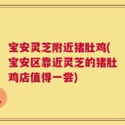 宝安灵芝附近猪肚鸡(宝安区靠近灵芝的猪肚鸡店值得一尝)