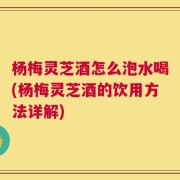 杨梅灵芝酒怎么泡水喝(杨梅灵芝酒的饮用方法详解)