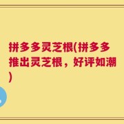 拼多多灵芝根(拼多多推出灵芝根，好评如潮)