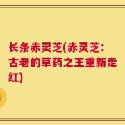 长条赤灵芝(赤灵芝：古老的草药之王重新走红)