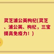灵芝浦公英枸杞(灵芝、浦公英、枸杞，三宝提高免疫力！)