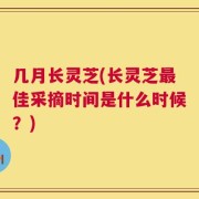 几月长灵芝(长灵芝最佳采摘时间是什么时候？)