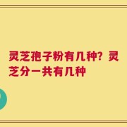 灵芝孢子粉有几种？灵芝分一共有几种