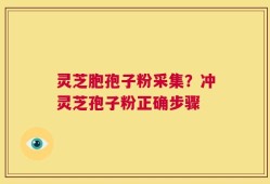 灵芝胞孢子粉采集？冲灵芝孢子粉正确步骤