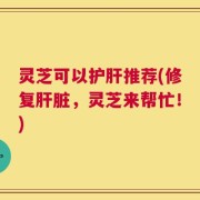 灵芝可以护肝推荐(修复肝脏，灵芝来帮忙！)