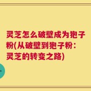 灵芝怎么破壁成为狍子粉(从破壁到狍子粉：灵芝的转变之路)