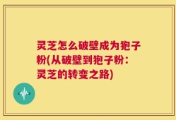 灵芝怎么破壁成为狍子粉(从破壁到狍子粉：灵芝的转变之路)