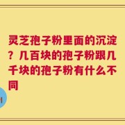 灵芝孢子粉里面的沉淀？几百块的孢子粉跟几千块的孢子粉有什么不同