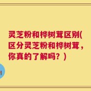 灵芝粉和桦树茸区别(区分灵芝粉和桦树茸，你真的了解吗？)