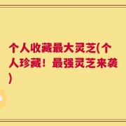 个人收藏最大灵芝(个人珍藏！最强灵芝来袭)