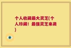 个人收藏最大灵芝(个人珍藏！最强灵芝来袭)
