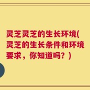 灵芝灵芝的生长环境(灵芝的生长条件和环境要求，你知道吗？)