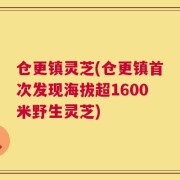 仓更镇灵芝(仓更镇首次发现海拔超1600米野生灵芝)