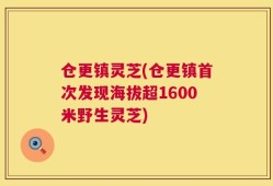 仓更镇灵芝(仓更镇首次发现海拔超1600米野生灵芝)