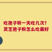 吃孢子粉一天吃几次？灵芝孢子粉怎么吃最好