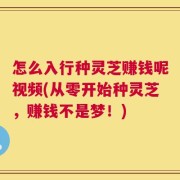 怎么入行种灵芝赚钱呢视频(从零开始种灵芝，赚钱不是梦！)