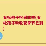 石松孢子粉采收季(石松孢子粉收获季节已到)