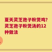 夏天灵芝孢子粉煲鸡？灵芝孢子粉煲汤的12种做法