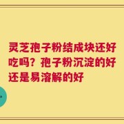 灵芝孢子粉结成块还好吃吗？孢子粉沉淀的好还是易溶解的好