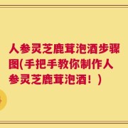 人参灵芝鹿茸泡酒步骤图(手把手教你制作人参灵芝鹿茸泡酒！)