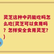 灵芝这种中药能吃吗怎么吃(灵芝可以食用吗？怎样安全食用灵芝？)