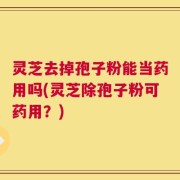灵芝去掉孢子粉能当药用吗(灵芝除孢子粉可药用？)