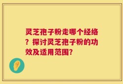 灵芝孢子粉走哪个经络？探讨灵芝孢子粉的功效及适用范围？