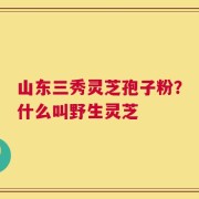 山东三秀灵芝孢子粉？什么叫野生灵芝