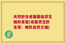 天然野生老菌蘑菇灵芝随形茶室(老菌灵芝野生茶：畅饮自然之福)