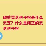 破壁灵芝孢子粉是什么灵芝？什么是纯正的灵芝孢子粉