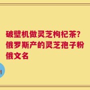 破壁机做灵芝枸杞茶？俄罗斯产的灵芝孢子粉俄文名