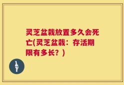 灵芝盆栽放置多久会死亡(灵芝盆栽：存活期限有多长？)