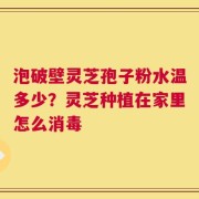 泡破壁灵芝孢子粉水温多少？灵芝种植在家里怎么消毒