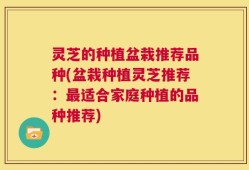 灵芝的种植盆栽推荐品种(盆栽种植灵芝推荐：最适合家庭种植的品种推荐)