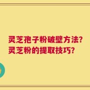 灵芝孢子粉破壁方法？灵芝粉的提取技巧？
