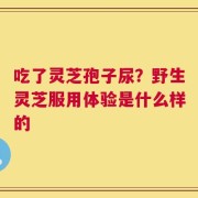 吃了灵芝孢子尿？野生灵芝服用体验是什么样的