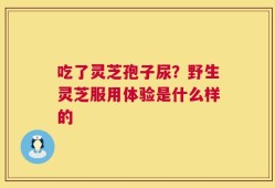 吃了灵芝孢子尿？野生灵芝服用体验是什么样的