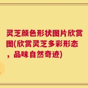 灵芝颜色形状图片欣赏图(欣赏灵芝多彩形态，品味自然奇迹)