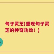 甸子灵芝(重现甸子灵芝的神奇功效！)