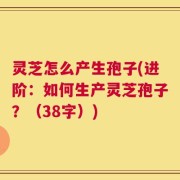 灵芝怎么产生孢子(进阶：如何生产灵芝孢子？（38字）)