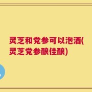 灵芝和党参可以泡酒(灵芝党参酿佳酿)