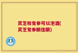 灵芝和党参可以泡酒(灵芝党参酿佳酿)