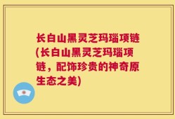 长白山黑灵芝玛瑙项链(长白山黑灵芝玛瑙项链，配饰珍贵的神奇原生态之美)
