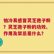 怕冷易感冒灵芝孢子粉？灵芝孢子粉的功效、作用及禁忌是什么？