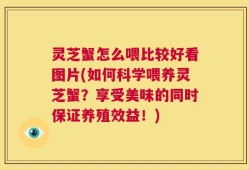 灵芝蟹怎么喂比较好看图片(如何科学喂养灵芝蟹？享受美味的同时保证养殖效益！)