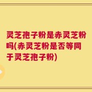 灵芝孢子粉是赤灵芝粉吗(赤灵芝粉是否等同于灵芝孢子粉)