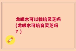 龙眼木可以栽培灵芝吗(龙眼木可培育灵芝吗？)